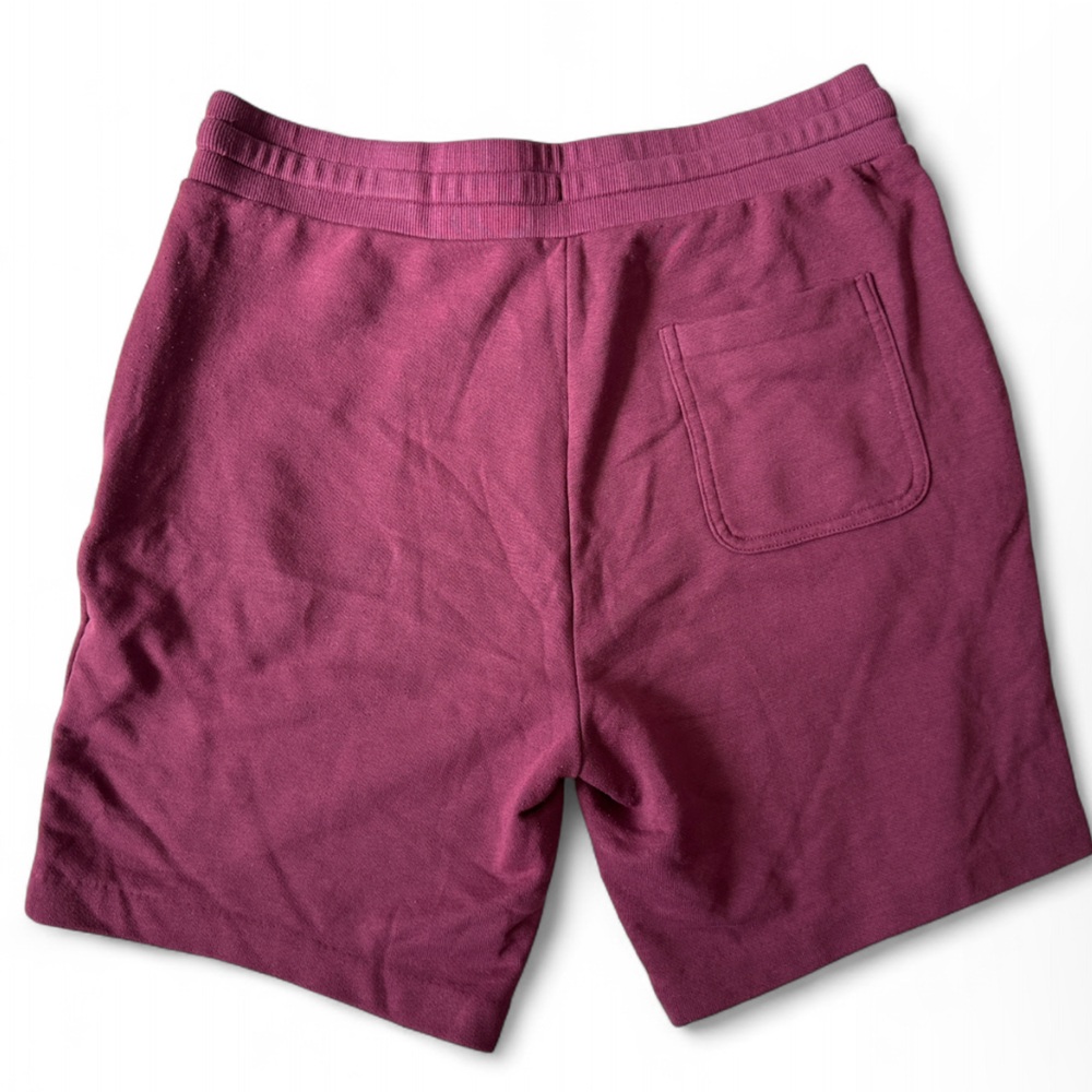ALO Yoga Men’s Burgundy/Maroon Hoodie and Shorts Set - Size Large - Picture 7 of 9